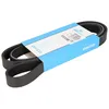 Image de Courroie trapézoïdale à nervures DAYCO 6PK1600