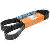 Image de Courroie trapézoïdale à nervures DAYCO 8PK1365HD