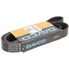 Image de Courroie trapézoïdale à nervures DAYCO 8PK1509HD