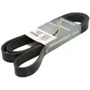 Image de Courroie trapézoïdale à nervures DAYCO 8PK2095HD