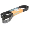 Image de Courroie trapézoïdale à nervures DAYCO 8PK2415HD