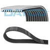 Image de Courroie trapézoïdale à nervures DAYCO 10PK1240KHD