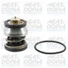 Image de Thermostat d'eau MEAT & DORIA 92973