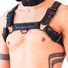 Image de Harnais PUPPY HARNESS Noir S/M