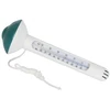 Image de Thermomètre flottant tubulaire