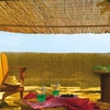 Image de Brise vue en roseau 75% occultant 2 x 5 m REEDCANE