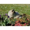Image de Grillage metal plastifié carré 1,2cm - 1 x 10 m - Vert