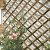 Image de Treillis en bois FSC extensible TRELLIWOOD - 1 x 3 m - Marron