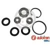 Image de Kit de réparation, maître-cylindre de frein AUTOFREN SEINSA D1623