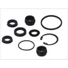 Image de Kit de réparation, maître-cylindre de frein AUTOFREN SEINSA D1674