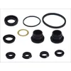 Image de Kit de réparation, maître-cylindre de frein AUTOFREN SEINSA D1677