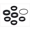 Image de Kit de réparation, maître-cylindre de frein AUTOFREN SEINSA D1702