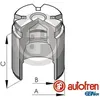 Image de Piston, étrier de frein AUTOFREN SEINSA D025530, arrière