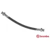 Image de Flexible de frein BREMBO T 30 065