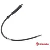 Image de Flexible de frein BREMBO T 06 050