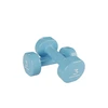 Image de Lot de paire d'haltère Bodytone Bleu 3 kg 699