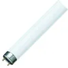 Image de MASTER | Tube fluorescent TL-D Super 80 | 18W | 830 Blanc chaud | 60cm