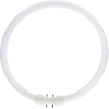 Image de MASTER | Tube fluorescent rond | TL5C Circulair | 55W | 4 broches | Ø300mm | 840 Blanc froid