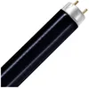 Image de MASTER T5 6W - Lumière noire bleue | 21cm