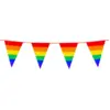 Image de Guirlande de Fanions Arc-en-ciel   10 m (30 x 20 cm)