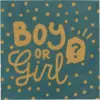 Image de Serviettes en papier "Boy or Girl?" noires et dorées (x20)