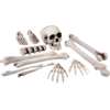 Image de Lot de 12 Ossements et Tête de Mort 23 cm   Décoration Halloween