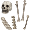 Image de Lot de 6 Têtes de Mort et Os   Décoration Halloween