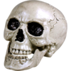 Image de Tête de Mort Blanche à Mâchoire Mobile 24 cm   Décoration Halloween
