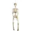 Image de Squelette Suspendu 92cm pour Décoration Halloween