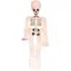 Image de Squelette gonflable 52cm