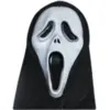 Image de Masque de revenant avec cagoule