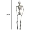 Image de Squelette Géant à suspendre 175cm
