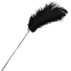 Image de Plumeau TICKLER Taboom 35cm