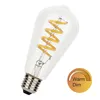 Image de Bailey | Lampe tubulaire LED | Grande ampoule E27 | 6.2W Dimmable