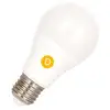 Image de Bailey | Ampoule LED | Grand modèle E27 | Ampoule standard | 60mm | 5.5W