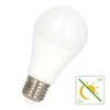 Image de Bailey | Lampe LED | Grand modèle E27 | Lampe standard | 60mm | 9W