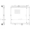 Image de Radiateur, refroidissement moteur NRF 550021