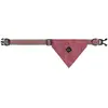 Image de Collier pour chien collection avec bandana QHP Violet XS 5562-FLM