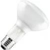 Image de Lampe à incandescence | Grand modèle E27 | Lampe à réflecteur | Mat | 95mm | 100W