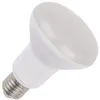 Image de SPL | Ampoule LED | Grand modèle E27 | Spot | Mat | 80mm | 10W
