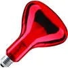 Image de SPL | Lampe IR ampoule R / lampe réflectrice | Grande douille E27 | 100W