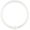 Image de SPL | FL Circline T5 | Raccord 2Gx13 | 22W | 4000K