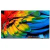 Image de Philips 43hfl6214u 109,2 cm (43'') 4k ultra hd smart tv wifi anthracite 400 cd/m² écran enroulable