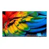 Image de Philips 65hfl6214u/12 tv 165,1 cm (65'') 4k ultra hd wifi anthracite 400 cd/m²