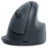 Image de R-Go Tools Souris ergonomique verticale sans fil Bluetooth R-Go HE Basic droitier - Gris