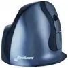 Image de Evoluent vmdmw souris bureau droitier rf sans fil laser