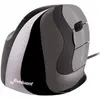 Image de Evoluent vmdl souris bureau droitier usb type-a laser