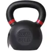 Image de Kettlebell Pure2Improve Noir 20 kg P2I810120