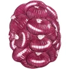 Image de & klevering - Plat de service Legume - Violet - Dolomite