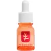 Image de Erborian - Skin Therapy Sérum De Nuit Multi-perfecteur 10ml